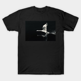 Swan 2 / Swiss Artwork Photography T-Shirt